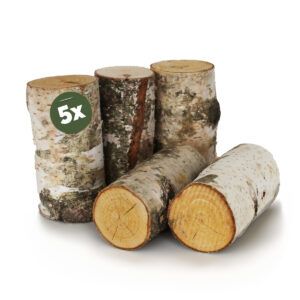 matches21 - Webshop Echtholz Birkenstaemmchen Holzstamm Baumstamm Holz gerader Schnitt in 4 Groessen 114292 1 21