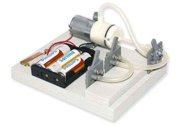 matches21 - Webshop Elektrobausatz einfacher Motor Elektromotor Bausatz Kinder Bastelset ab 12 Jahren 118509 3 1 2