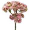 matches21 - Webshop Fetthenne Kunstblume Zweige Kunstpflanzen Dekopflanze 1 Stk 30 cm 5 Farben 120538 2 1 21