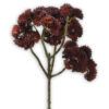 matches21 - Webshop Fetthenne Kunstblume Zweige Kunstpflanzen Dekopflanze 1 Stk 30 cm 5 Farben 120538 5 1 24