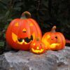 matches21 - Webshop Froehlicher Kuerbis mit LED Licht Halloween 19 cm 100429 6 1 27