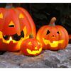 matches21 - Webshop Froehlicher Kuerbis mit LED Licht Halloween 19 cm 100429 8 1 28