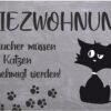 matches21 - Webshop Fussmatten Fussabstreifer DECOR Katze Comic Miezwohnung Spruch grau waschbar 2 Gr 119175 1 1 14