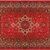 matches21 - Webshop Fussmatten Fussabstreifer DECOR Perser Ornamente rot Orientalisch waschbar 2 Gr 119167 2 1 15