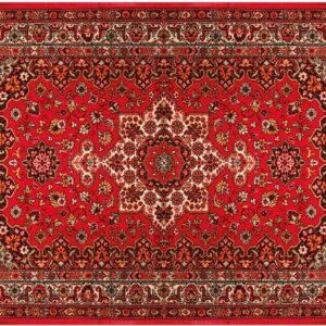 matches21 - Webshop Fussmatten Fussabstreifer DECOR Perser Ornamente rot Orientalisch waschbar 2 Gr 119167 2 1 40