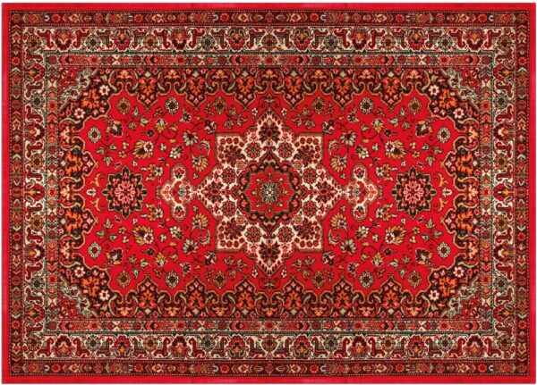 matches21 - Webshop Fussmatten Fussabstreifer DECOR Perser Ornamente rot Orientalisch waschbar 2 Gr 119167 2 1 11