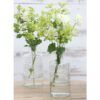 matches21 - Webshop Gerade Glasvasen Glas Blumenvasen Ethno 1 Stk 7 5x14 5 cm in 4 Farben 123645 12 1 65