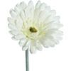 matches21 - Webshop Gerbera Kunstblumen Kunstpflanzen kuenstliche Blueten 1 Stk 56 cm 4 Farben 120531 1 1 17