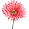 matches21 - Webshop Gerbera Kunstblumen Kunstpflanzen kuenstliche Blueten 1 Stk 56 cm 4 Farben 120531 2 1 18