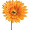 matches21 - Webshop Gerbera Kunstblumen Kunstpflanzen kuenstliche Blueten 1 Stk 56 cm 4 Farben 120531 3 1 19