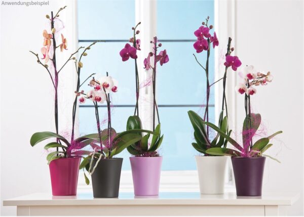 matches21 - Webshop Glaenzende Orchideentoepfe mit Stegen uebertoepfe Keramik 1 Stk 14x15 in 7 Farben 120904 2 1 29