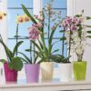 matches21 - Webshop Glaenzende Orchideentoepfe mit Stegen uebertoepfe Keramik 1 Stk 14x15 in 7 Farben 120904 3 1 40