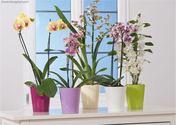 matches21 - Webshop Glaenzende Orchideentoepfe mit Stegen uebertoepfe Keramik 1 Stk 14x15 in 7 Farben 120904 3 1 30