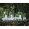 matches21 - Webshop Glastoepfe Toepfe rund Pflanzgefaesse Teelichtglaeser Glas weiss 1 Stk in 2 Groessen 123733 3 1 16