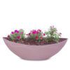 matches21 - Webshop Grosse Pflanzschale Blumenschale oval Jardiniere alt rosa 2 Groessen 127560 1 28