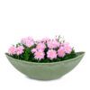 matches21 - Webshop Grosse Pflanzschale Blumenschale oval Jardiniere gruen 2 Groessen 127561 1 28