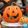 matches21 - Webshop Halloween Kuerbis Windlicht 19x20 cm Ton mit LED Licht Herbstdeko 100429 5 1 17