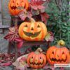 matches21 - Webshop Halloween Kuerbis Windlicht Laterne 27x23 cm Halloweendeko inkl LED Teelicht 103065 3 1 12