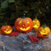 matches21 - Webshop Halloween Kuerbisse im Set mit suessen Gesichtern und Farben 110903 4 1 18