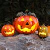 matches21 - Webshop Halloween Kuerbisse im Set mit verschiedenen Gesichtern und Farben 126555 4 1 20