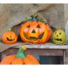 matches21 - Webshop Halloween Kuerbisse im Set mit verschiedenen Gesichtern und Farben 126555 6 1 19