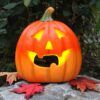 matches21 - Webshop Halloween Kuerbisse mit verschiedenen Gesichtern und Groessen 126560 12 1 77