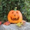 matches21 - Webshop Halloween Kuerbisse mit verschiedenen Gesichtern und Groessen 126560 18 1 71