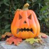 matches21 - Webshop Halloween Kuerbisse mit verschiedenen Gesichtern und Groessen 126560 22 1 73