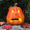 matches21 - Webshop Halloween Kuerbisse mit verschiedenen Gesichtern und Groessen 126560 23 1 75