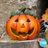 matches21 - Webshop Halloween Ton Kuerbis Windlicht Halloween Laterne 18x17 cm inkl LED Teelicht 111003 5 1 14