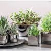 matches21 - Webshop Jardiniere Pflanzschale Blumentopf Silber Glanz oval 1 Stk 25x14 cm 116077 1 1 5