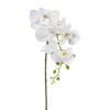 matches21 - Webshop Kuenstliche Orchidee aus Kunststoff in weiss mit 7 Blueten 87 cm 126517 1 3