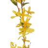 matches21 - Webshop Kunstblumen Forsythien Fruehlingsdeko Fruehlingsblumen Kunststoff gelb 2 Groessen 126322 3 1 19