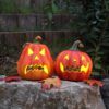 matches21 - Webshop Laechelnder Kuerbis mit LED Licht Halloween 26 cm 126553 8 1 20