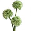 matches21 - Webshop Lauch Blueten Allium Kunstblumen Kunstpflanzen 3er Bund 46 cm 2 Farben 120532 1 1 11