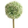 matches21 - Webshop Lauchblueten Allium Kunstblumen kuenstlich Kunststoff 1 Stk 11x67 cm 2 Farben 123685 1 1 11