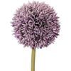 matches21 - Webshop Lauchblueten Allium Kunstblumen kuenstlich Kunststoff 1 Stk 11x67 cm 2 Farben 123685 2 1 12