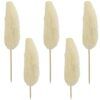 matches21 - Webshop Luffa am Stiel Trockenblumen Naturdeko basteln gebleicht 5er Set ca 10 15 cm 125248 1 5