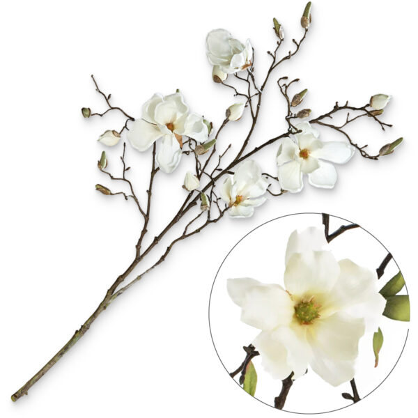 matches21 - Webshop Magnolienzweig mit Blueten und Knospen Kunstblume Dekozweig 110 cm 1 Stk creme 120523 2 1 3