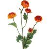 matches21 - Webshop Mini Chrysanthemen kuenstlich Deko Blumen Kunstblumen Herbst Blueten 1 Stk 4 Farben 124221 7 1 35