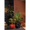 matches21 - Webshop Moderne Blumentoepfe gross fuer Innen und Outdoor in grau 2 Groessen 126540 2 1 16