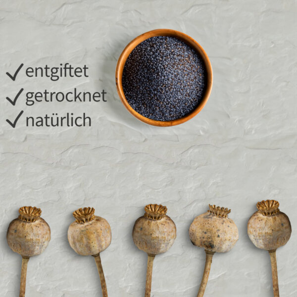 matches21 - Webshop Mohnkoepfe entgiftet Trockenblumen getrocknet Bastelmaterial natur 5er Set 125252 2 20