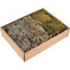 matches21 - Webshop Moos Mix zum Basteln im 3er Set 650g 127009 1 4