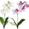 matches21 - Webshop Orchideen Mini Phalaenopsis Kunstblumen Kunstpflanzen 26 cm 1 Stk 2 Farben 120539 1 10