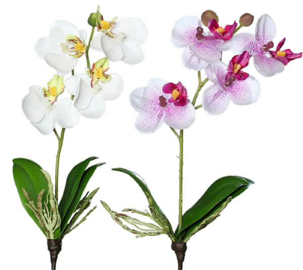 matches21 - Webshop Orchideen Mini Phalaenopsis Kunstblumen Kunstpflanzen 26 cm 1 Stk 2 Farben 120539 1 7