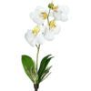 matches21 - Webshop Orchideen Mini Phalaenopsis Kunstblumen Kunstpflanzen 26 cm 1 Stk 2 Farben 120539 1 1 11