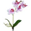 matches21 - Webshop Orchideen Mini Phalaenopsis Kunstblumen Kunstpflanzen 26 cm 1 Stk 2 Farben 120539 2 1 12