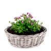 matches21 - Webshop Pflanzkuebel Kubu Rattan Blumentoepfe in vielen Formen und Groessen 127564 29 1 242