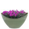 matches21 - Webshop Pflanzschale Blumenschale oval Jardiniere gruen 2 Groessen 127556 1 28