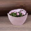 matches21 - Webshop Pflanzschale Blumenschale oval Jardiniere rosa in 2 Groessen 127555 8 1 36